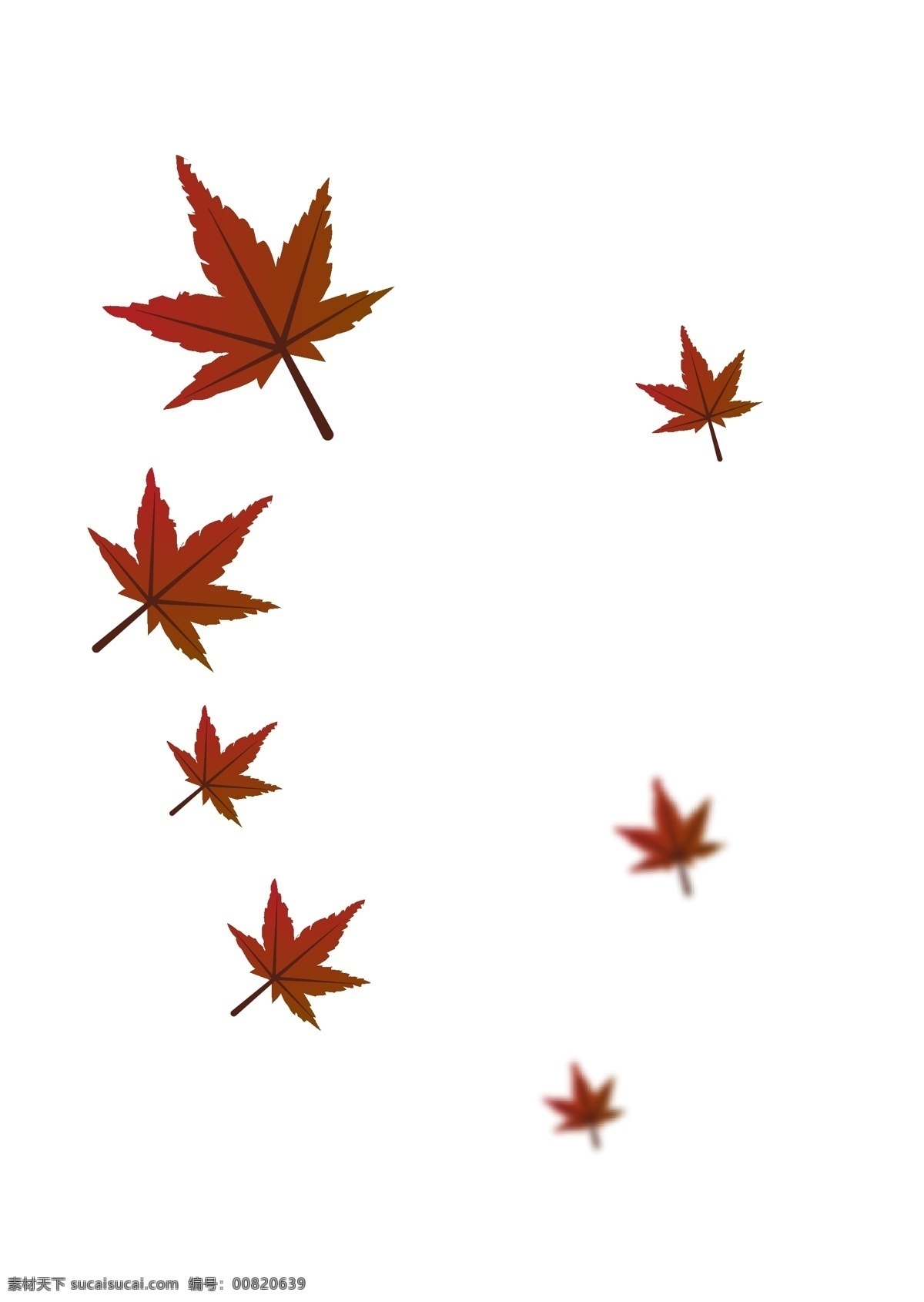 枫叶素材 枫叶 ai文件 红色 独立 单个 自然景观 自然风光