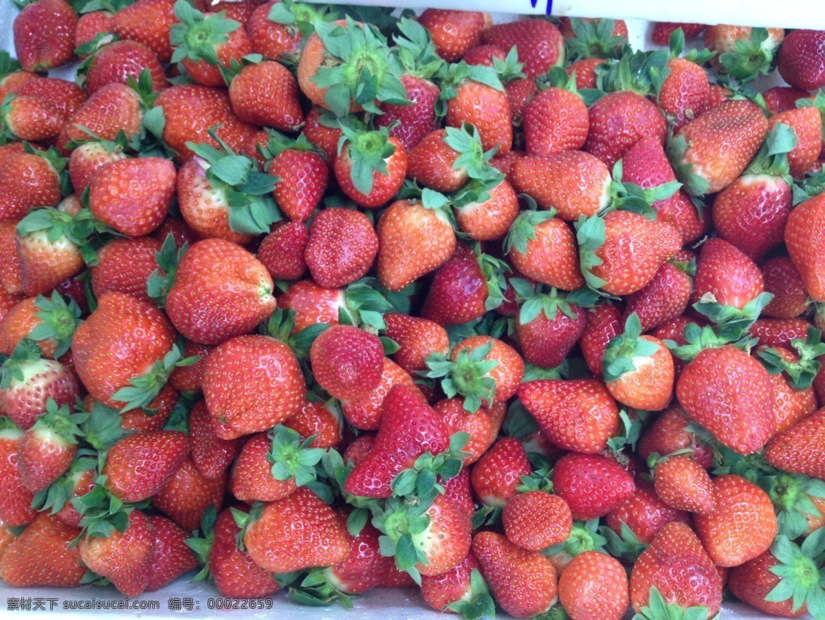 草莓 红草莓 摘草莓 甜草莓 生物世界 水果 超市草莓 新鲜水果 一串草莓 大片草莓 草莓叶子 花草集 草莓园 草莓糖 草莓堆头