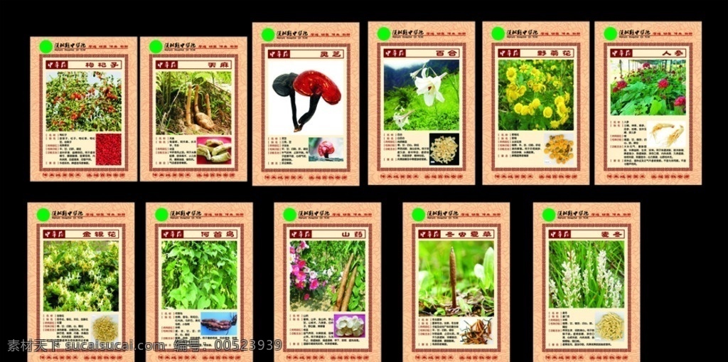 中草药简介 民间中草药 中医中草药 中医院展板 中草药展板