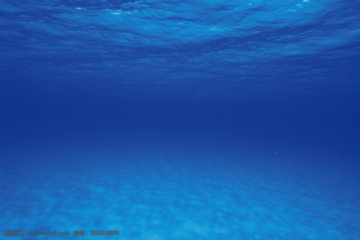 蓝色海洋 海底天空 海洋天空 水族馆 梦幻海洋 海底世界 海洋世界 海底公园 大陆架 深海 海洋生物 生物世界