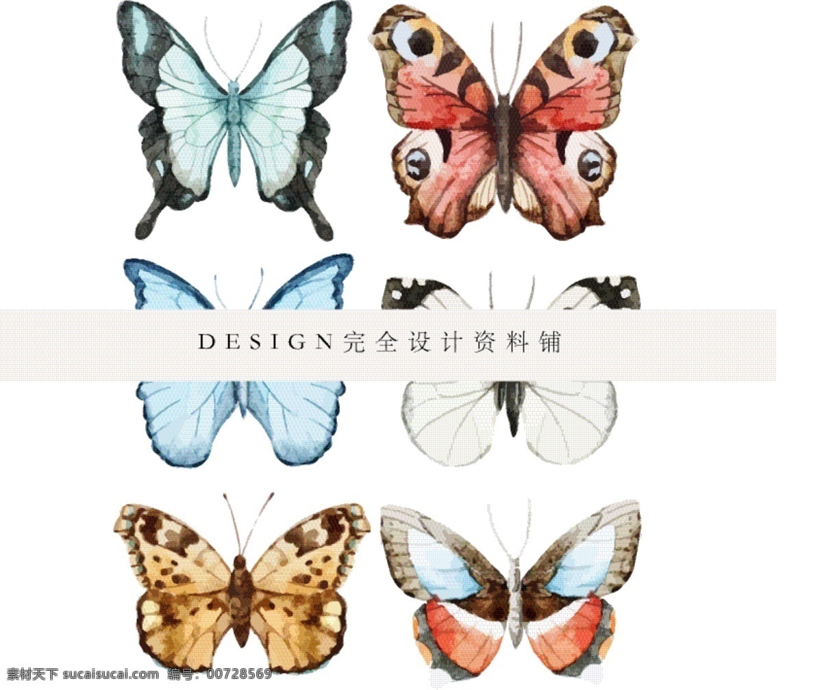 精美 蝴蝶 元素 矢量 装饰 图案 蝴蝶标本 五颜六色 各种各样