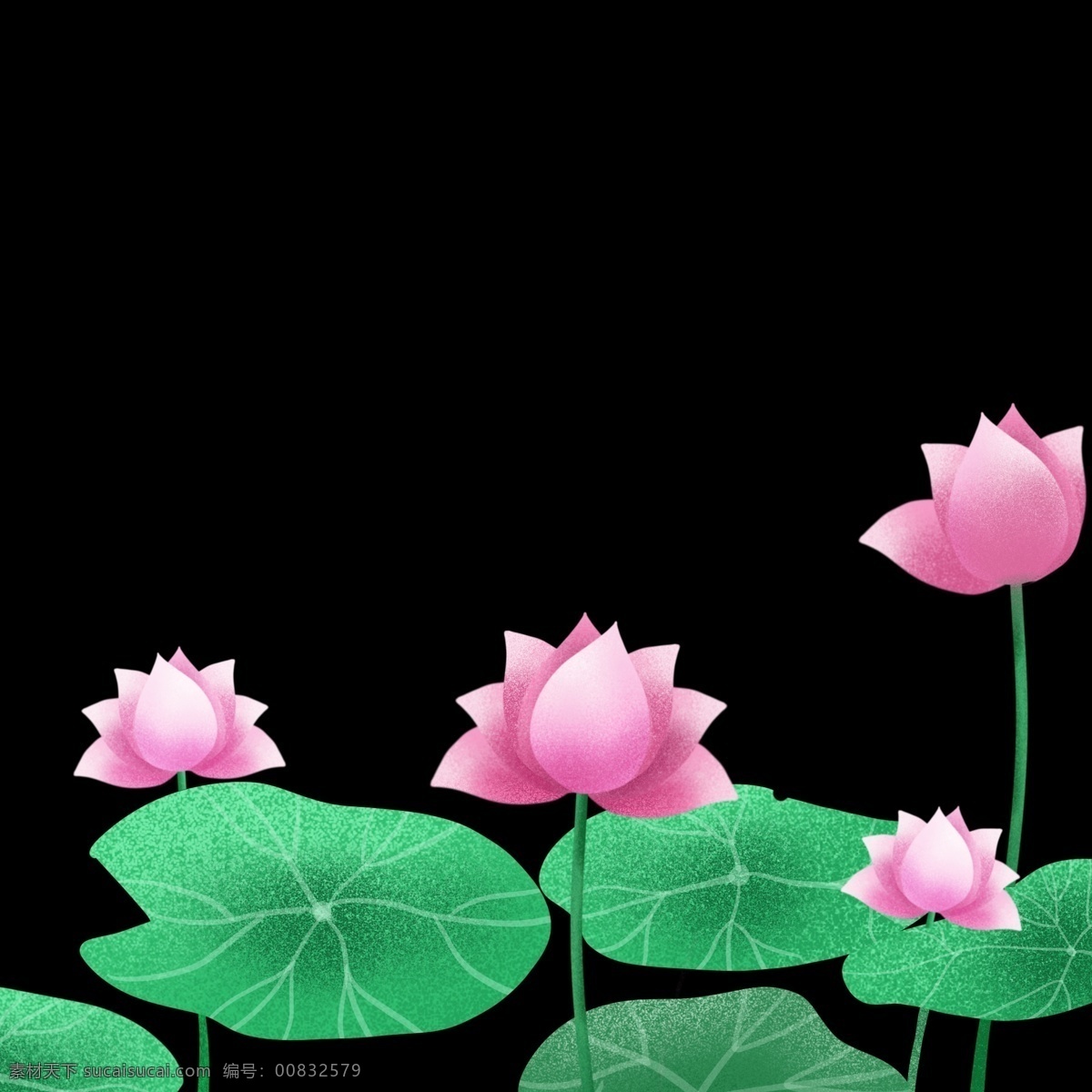 夏日 荷花 免 抠 图 节日 手绘花朵