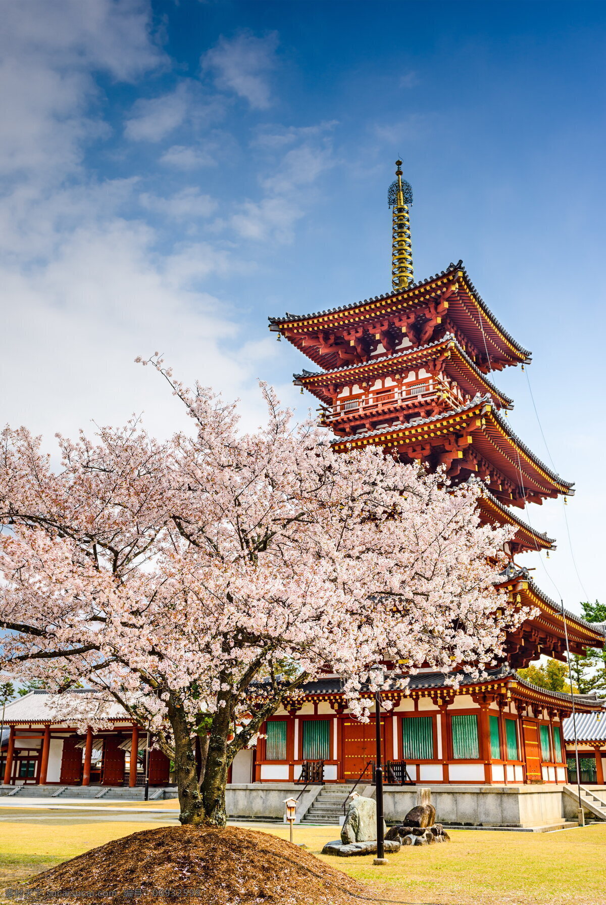 日本 建筑 樱花 风景 高清 粉色花朵 鲜花 花枝 日式建筑 阁楼