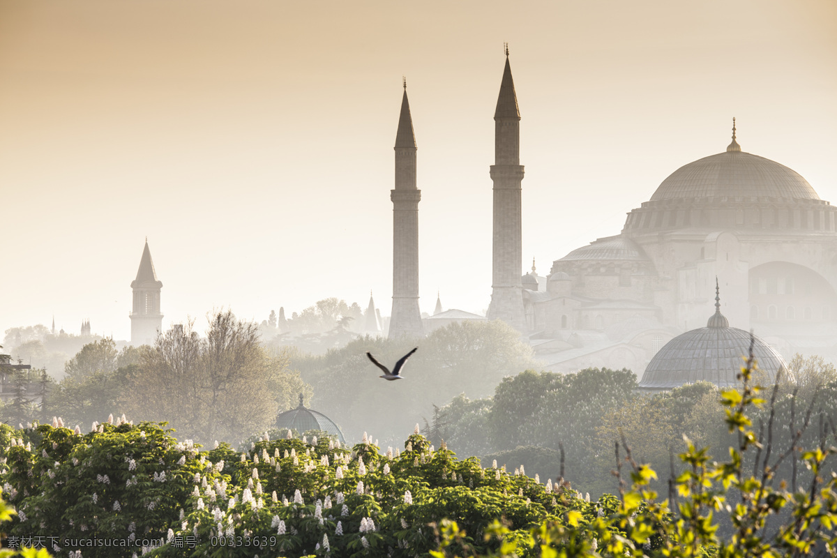 圣索 菲亚 大 教堂 伊斯坦布尔 风景 城市风景 土耳其风景 风光 美丽风景 城市风光 环境家居