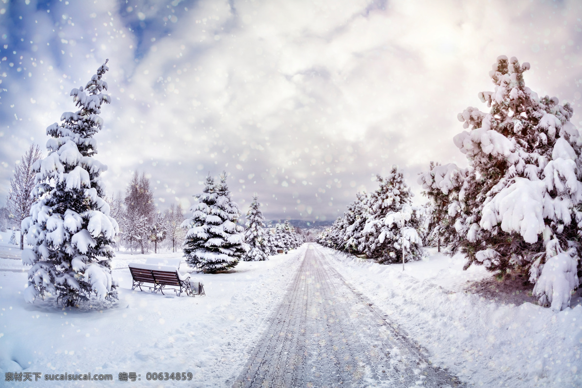 美丽 马路 雪景 冬天风景 公路雪景 道路风景 美丽公园风景 公园冬季风景 美丽雪景 雪地风景 风景摄影 雪景图片 风景图片