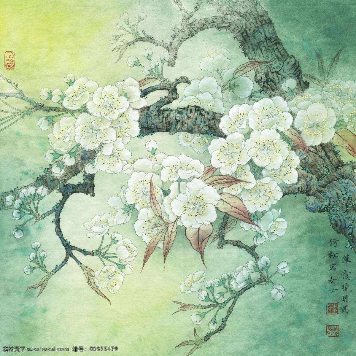 梨花 小品 国画 高清 绿色