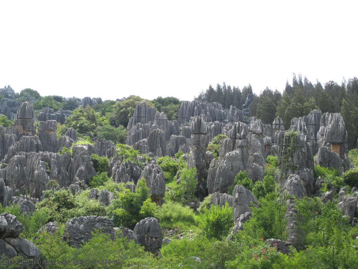 石林风景 石林 假山 自然风光 丽江 山景 风景名胜 自然景观