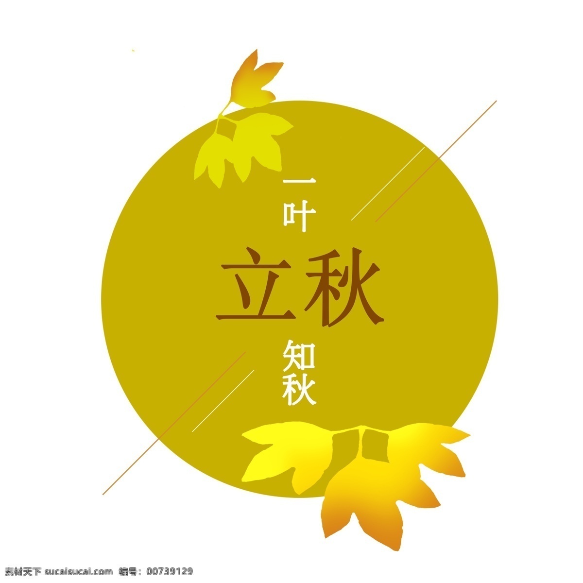 简约 立 秋叶 知秋 金黄 枫叶 简约风 立秋 节气 金黄色 一叶知秋