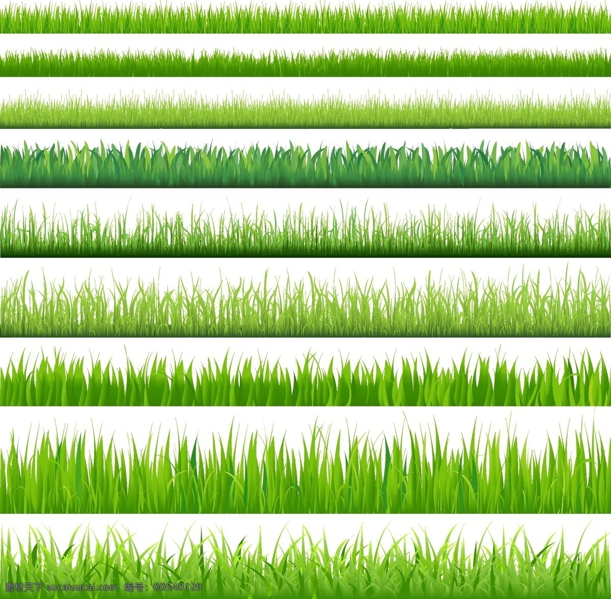 绿 草 小草 草丛 草地 草坪 花草 绿草 生物世界 植物 绿草小草 矢量 矢量图 其他矢量图