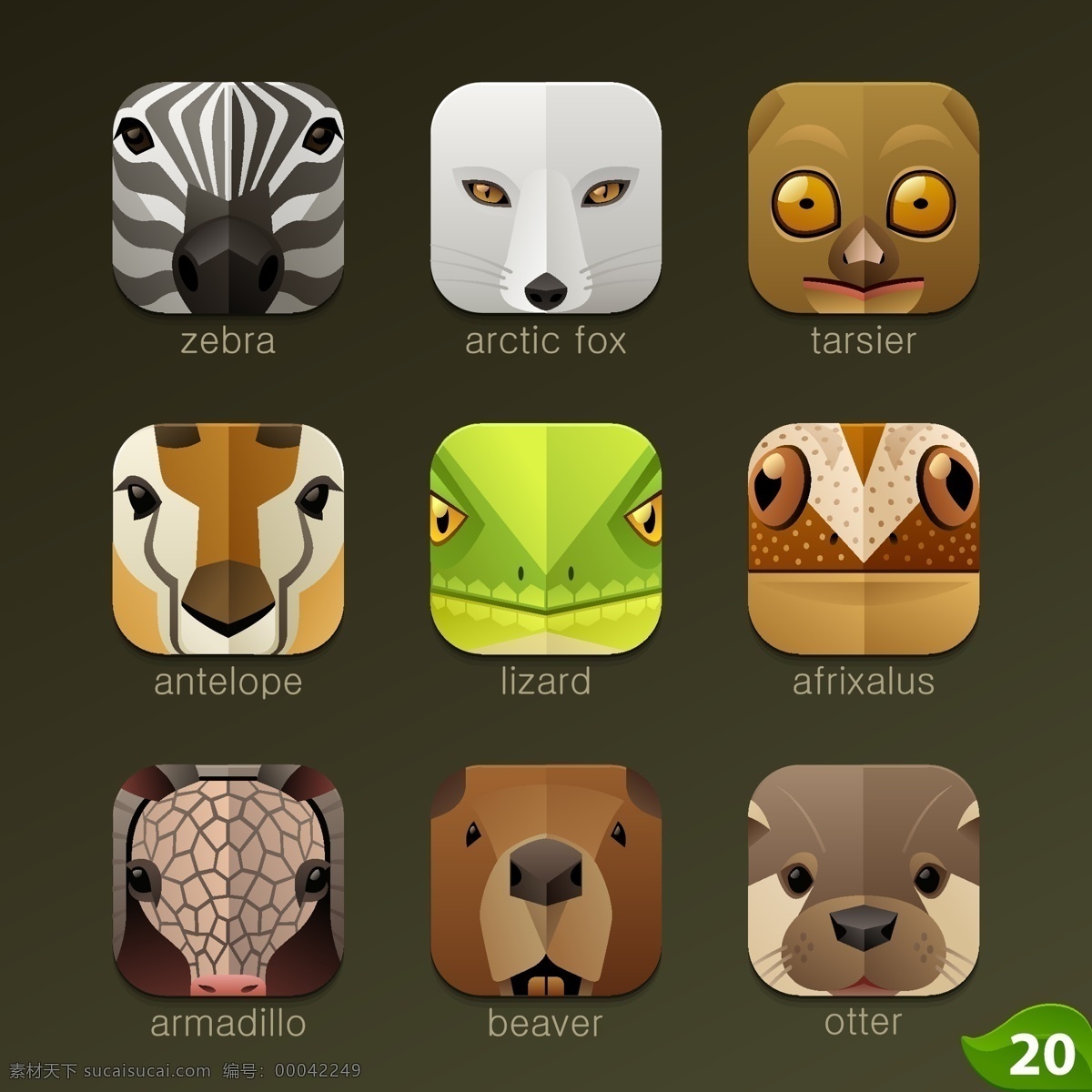 动物 头像 图标 斑马 羚羊 手绘 蜥蜴 北极狐 眼镜猴 犰狳海狸 水獭 手机 app app图标