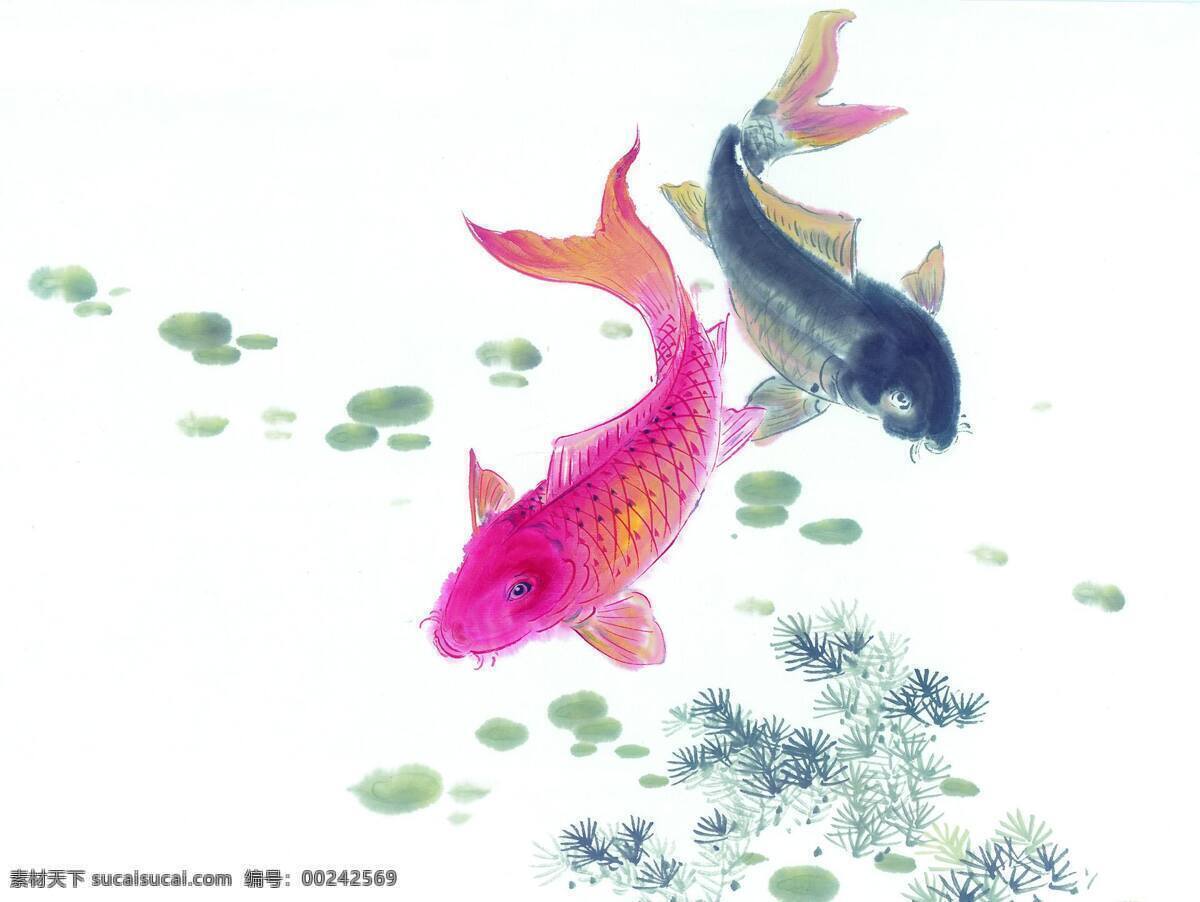 鲤鱼 戏水 鲤鱼跃龙门 鲤鱼戏水 鲤鱼图 鲤鱼门 生物世界