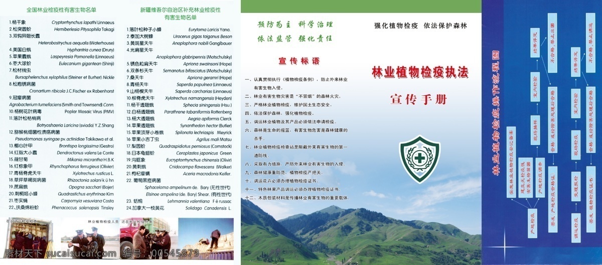 林业植物检疫 林业 植物 检疫 宣传手册 有害生物名单 宣传标语 画册设计 广告设计模板 源文件