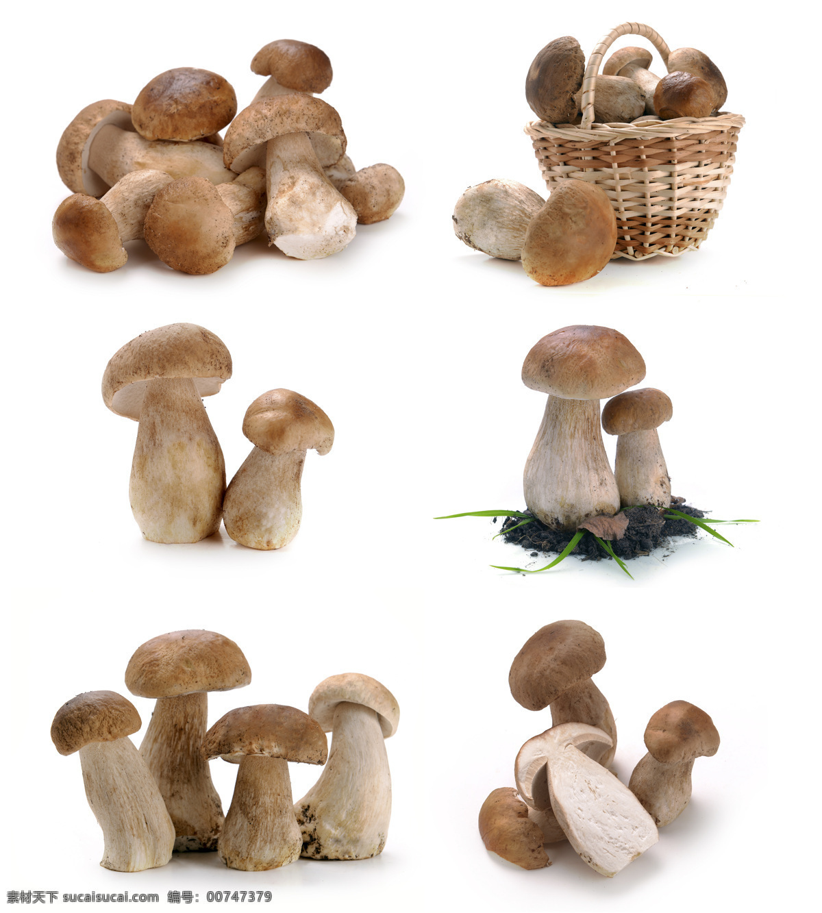 新鲜 蘑菇 新鲜蘑菇摄影 食物 蔬菜 餐厅美食 篮子里的蘑菇 香菇 蘑菇图片 餐饮美食
