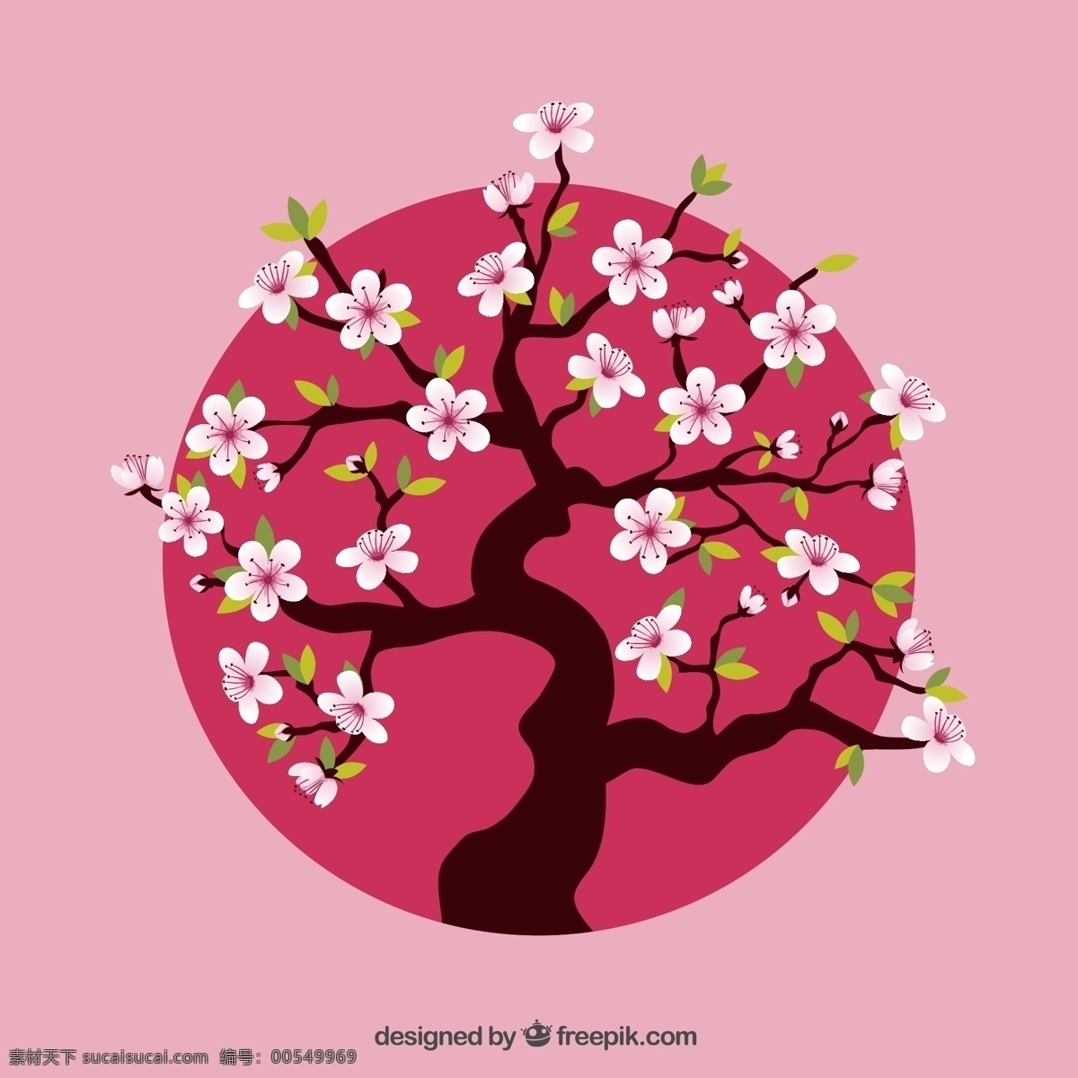 盛开 粉色 樱花树 矢量 花枝 树木 樱花