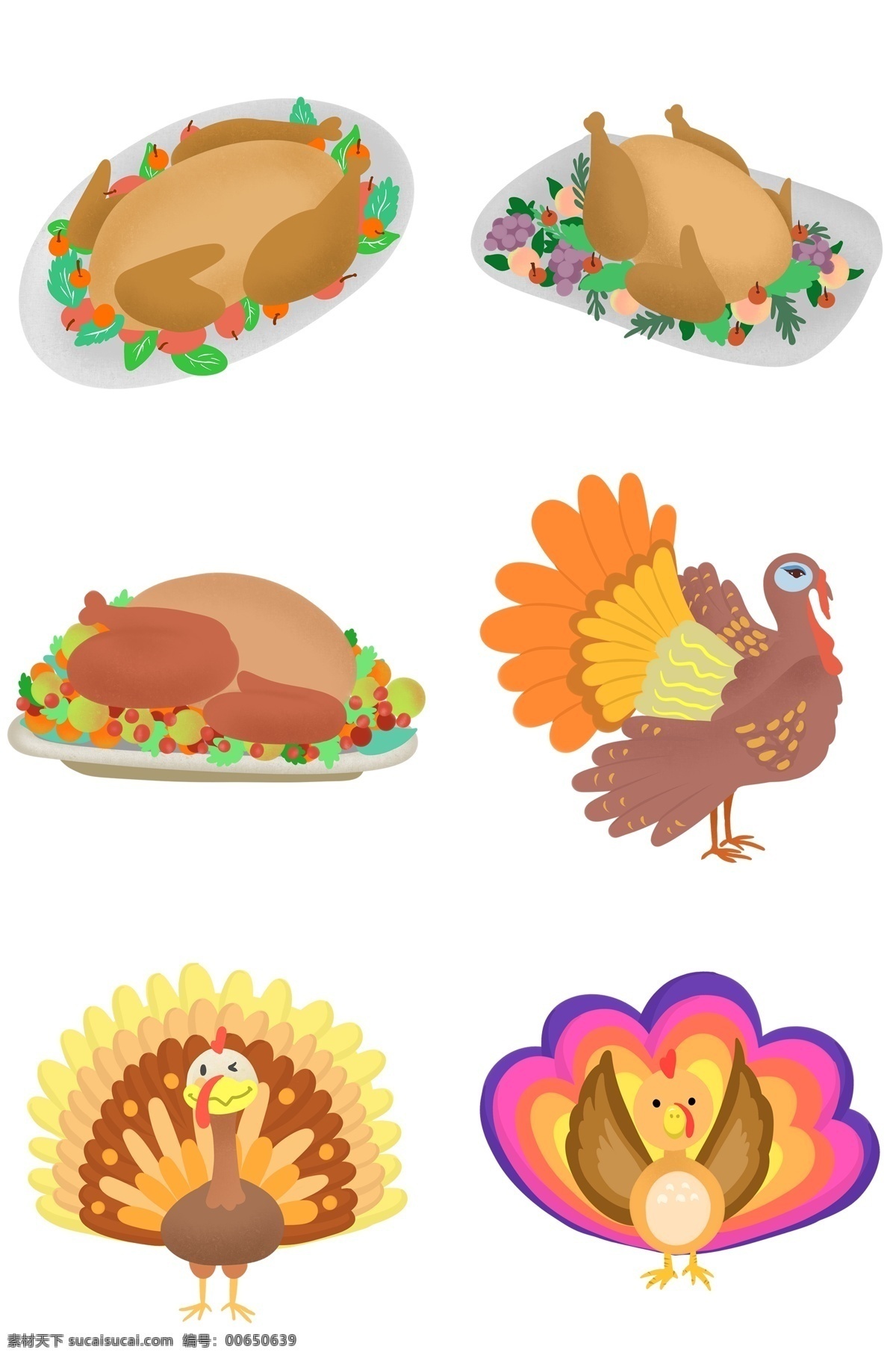感恩节 火鸡 系列 图案 食物 动物 活的火鸡 烧烤火鸡 手绘 卡通 水果 盘子 站立 翅膀 尾巴 可爱