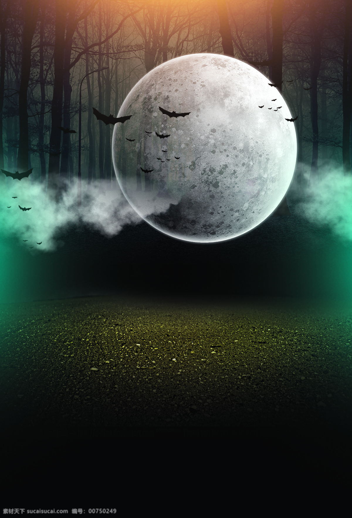 万圣节 恐怖 背景 月亮 蝙蝠 树枝 恐怖之夜