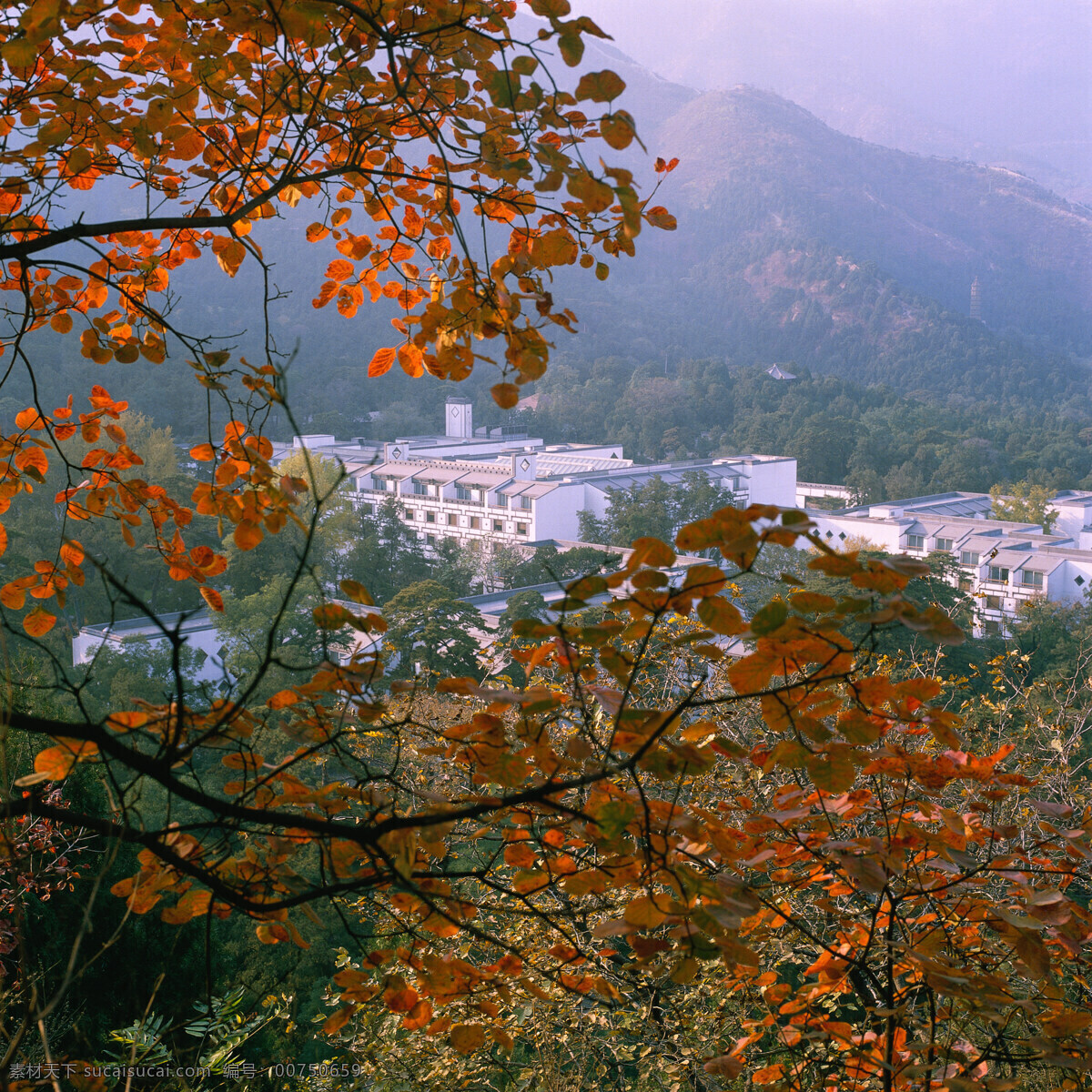 树木风景摄影 大自然 自然风景 美丽风景 美景 景色 风景摄影 树叶 树木摄影 山峰 自然景观 黑色