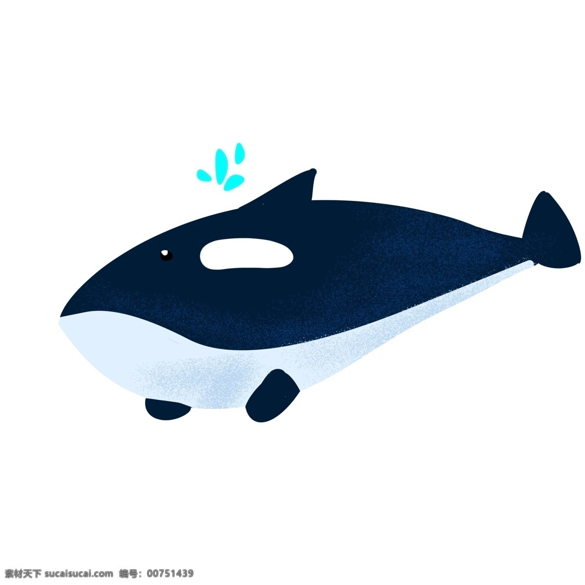 蓝黑色 游动 鲸鱼 插画 蓝色的海洋 水 水中 水生动物 大鲸鱼 白色的肚皮