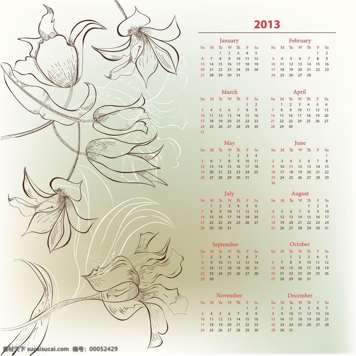 2013 年 花卉 线 稿 日历 矢量 2013年 日历表 线描花纹 月历 植物年历