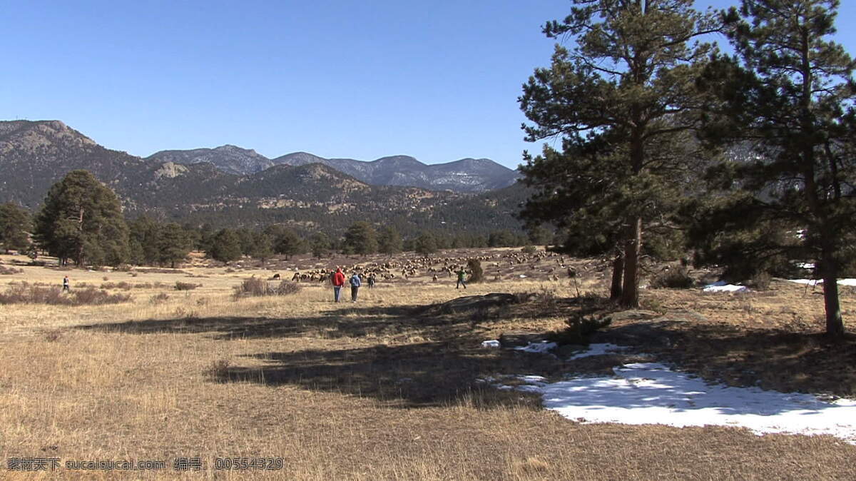 科罗拉多 洛基 机器翻译 国家 公园 股 录像 景观 看 麋鹿 人 山 视频免费下载 科罗拉多州 石 其他视频