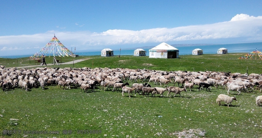 唯美 风景 风光 旅行 自然 青海 原生态保护区 生态保护区 美丽青海 生态青海 蓝天 草甸 高山草甸 草地 旅游摄影 国内旅游