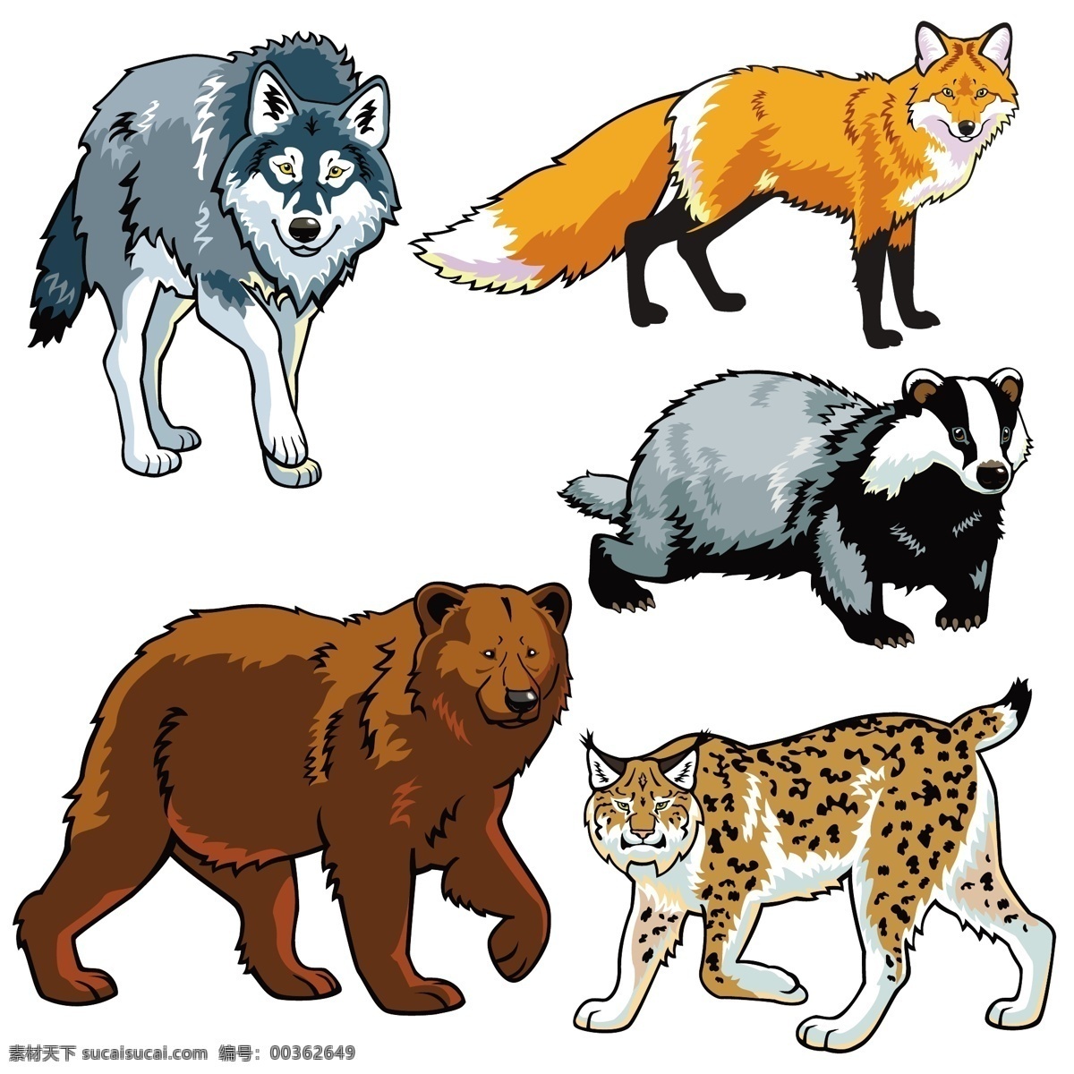 动物矢量图 动物 狼 熊 浣熊 狐狸 生物世界 野生动物