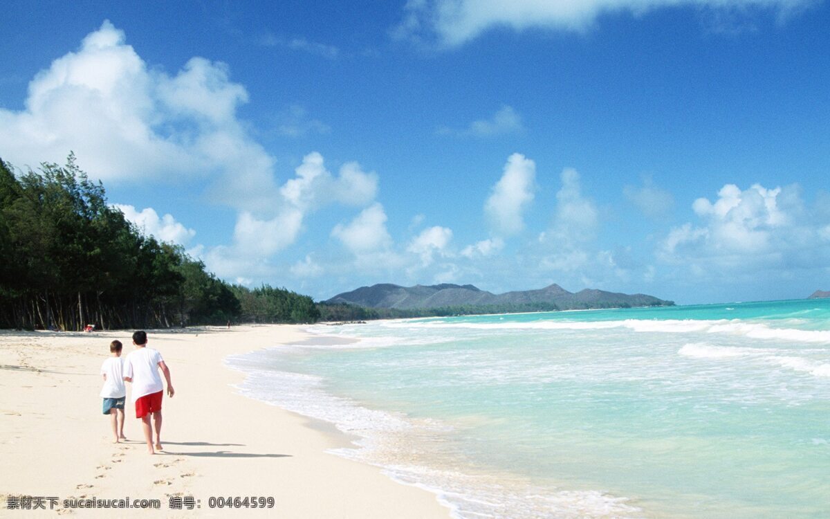 海滩 摄影图片 国外旅游 旅游摄影 摄影图库 夏威夷 滩摄影 psd源文件