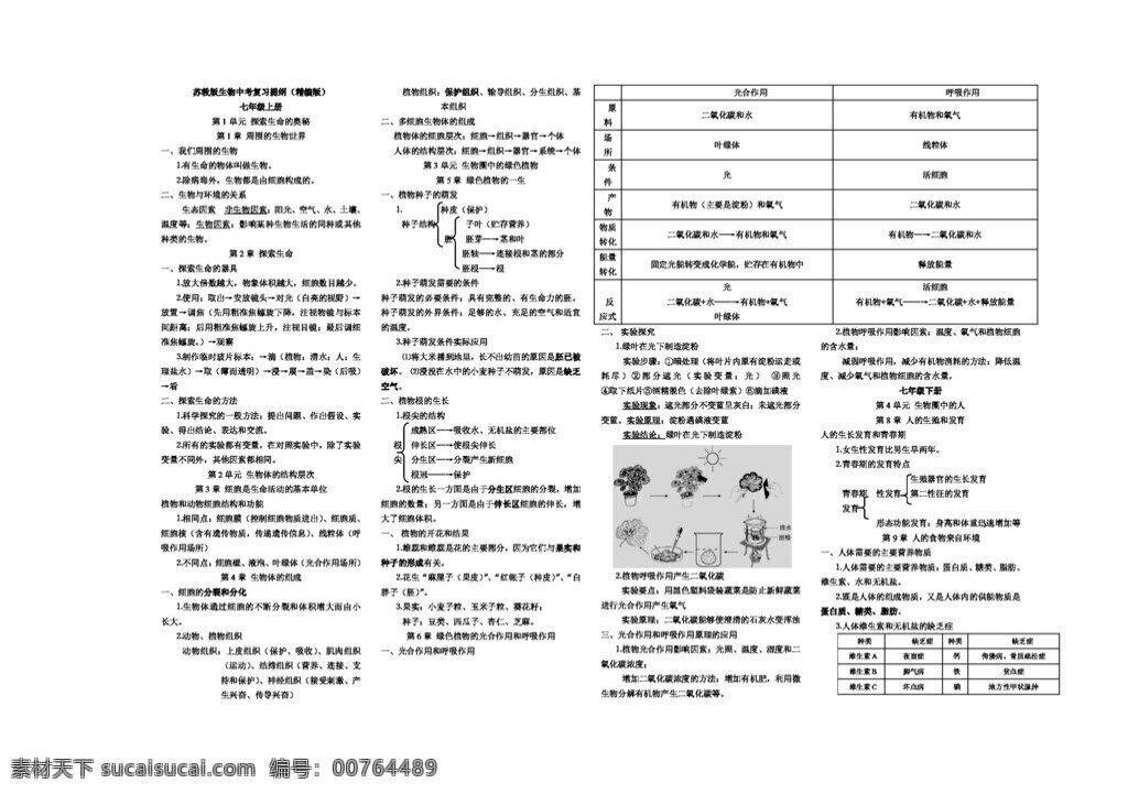 八 年级 下册 生物 苏 教 版 初中 中考 复习 提纲 八年级下册 苏教版 学案