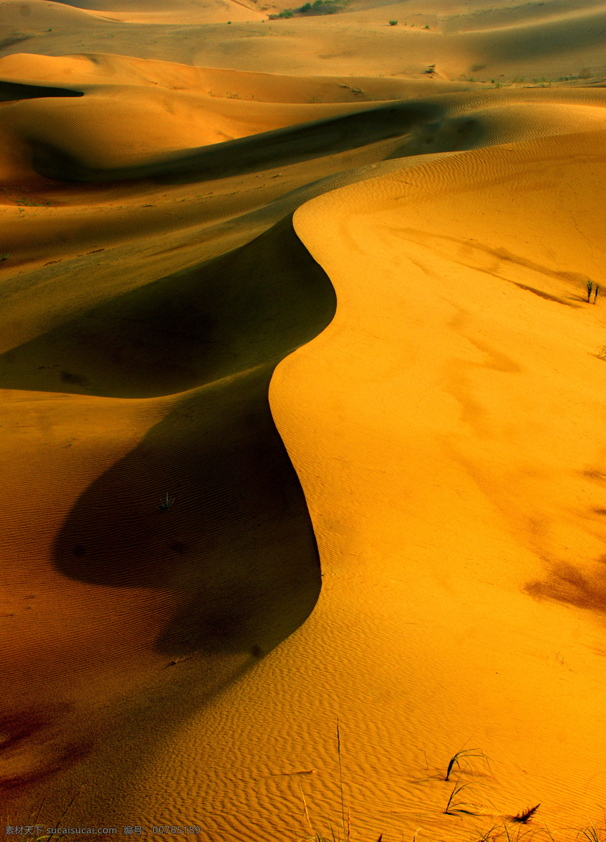 沙漠 响沙湾 内蒙古 旅游 自然 景观 户外 自然景观 山水风景