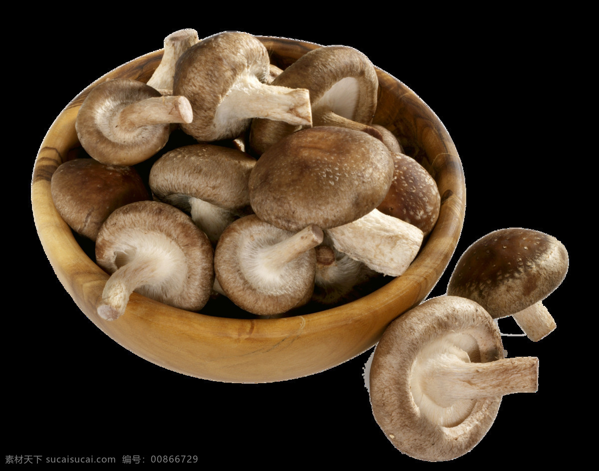 新鲜 蘑菇 元素