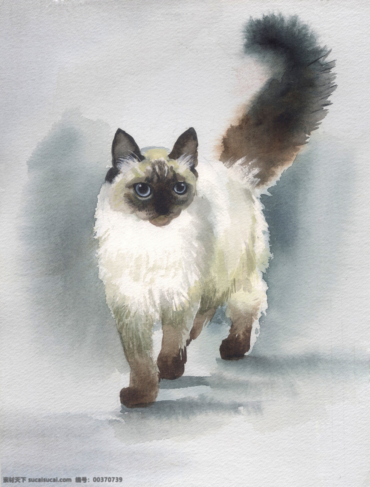 油画 猫 艺术 文化 绘画 手绘 宠物 书画文字 文化艺术
