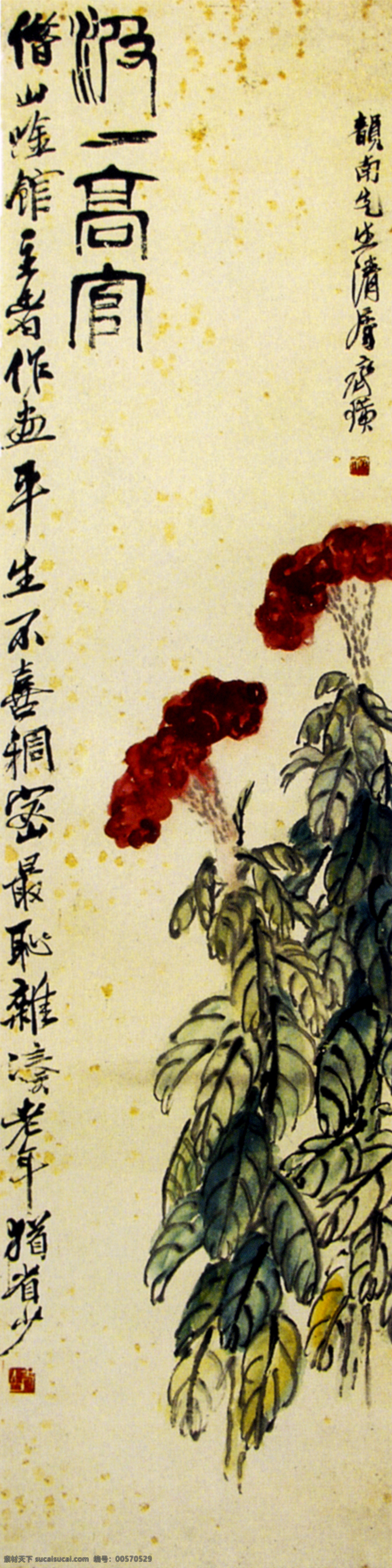 鸡冠花 绘画书法 美术作品 文化艺术 鸡冠花国画 名家名作 家居装饰素材 山水风景画
