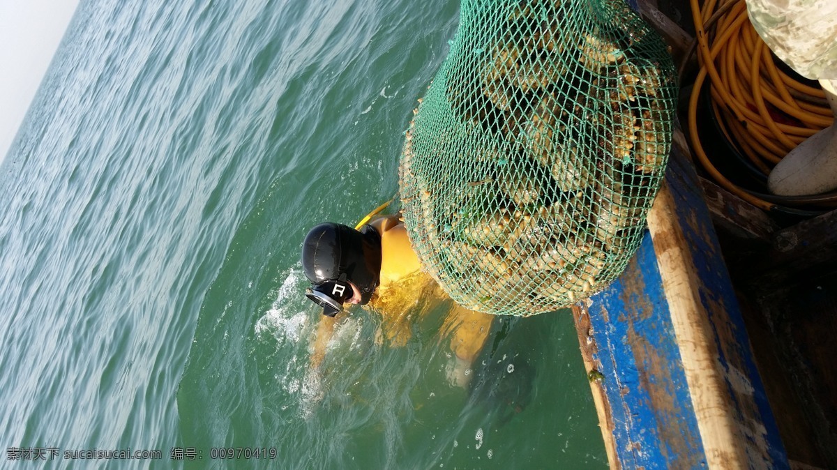海参捕捞 海参 捕捞 渔船 长岛 潜水员 生活百科 生活素材