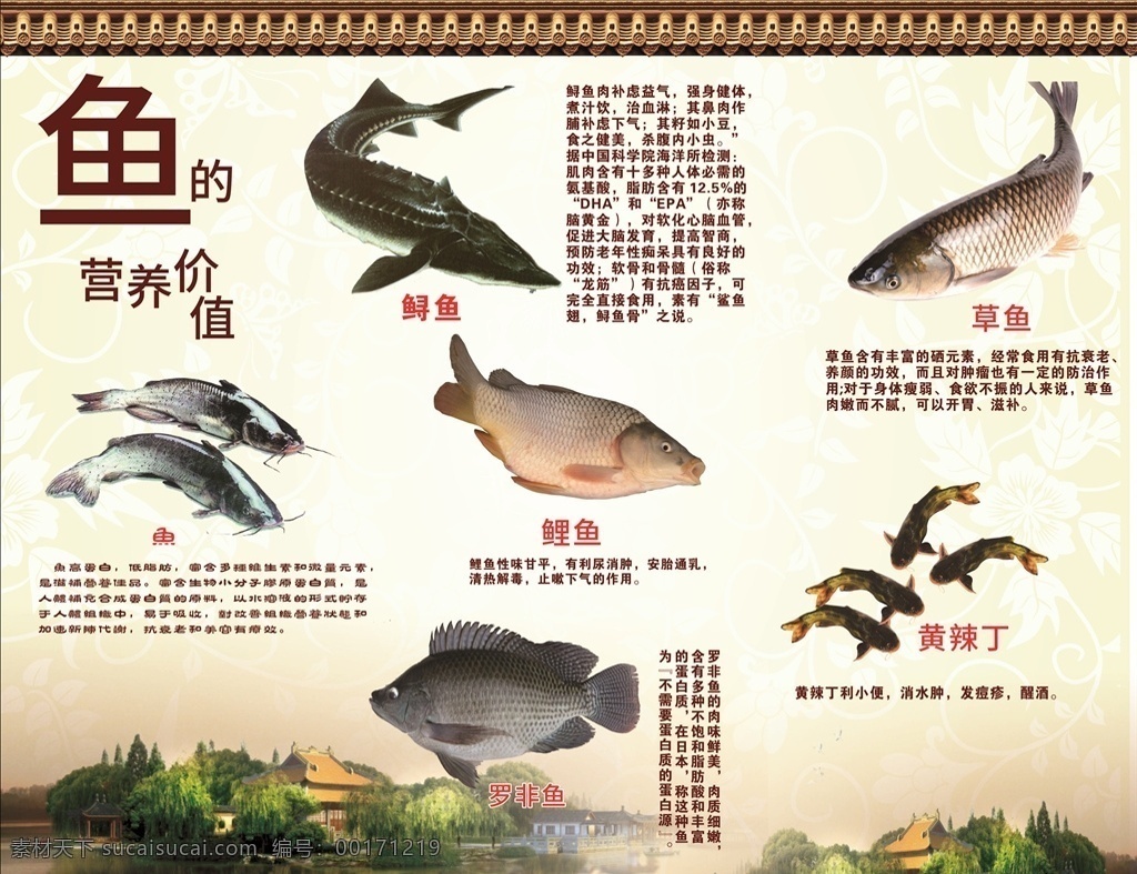 鱼 喷绘 广告 屋檐 鲤鱼 黄辣丁 鱼店