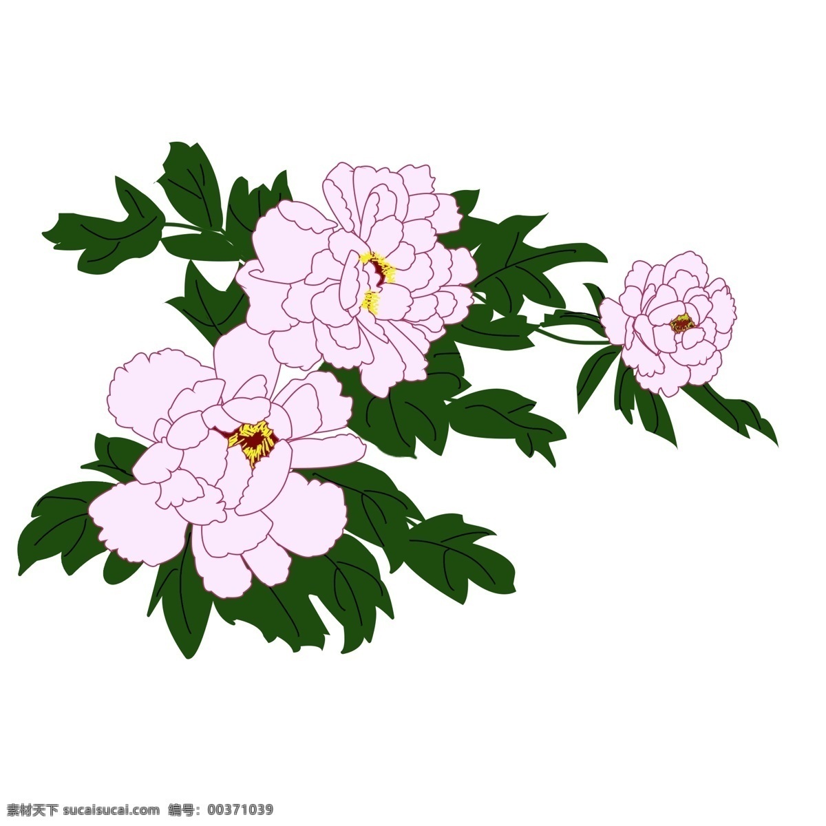 手绘 牡丹花 花丛 浪漫 植物 花卉 花朵 图案 元素 手绘花 花束 牡丹 富贵 富贵牡丹
