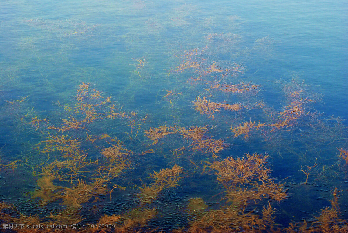 河南龙湖风景