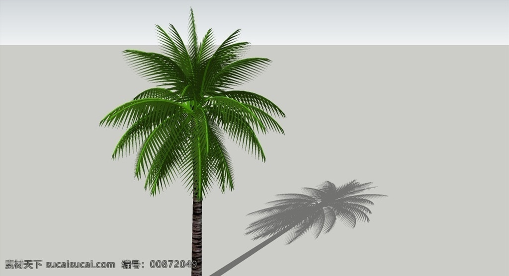 3d 植物 树木 椰子树 3d植物 skp 草图大师 su植物 3d设计