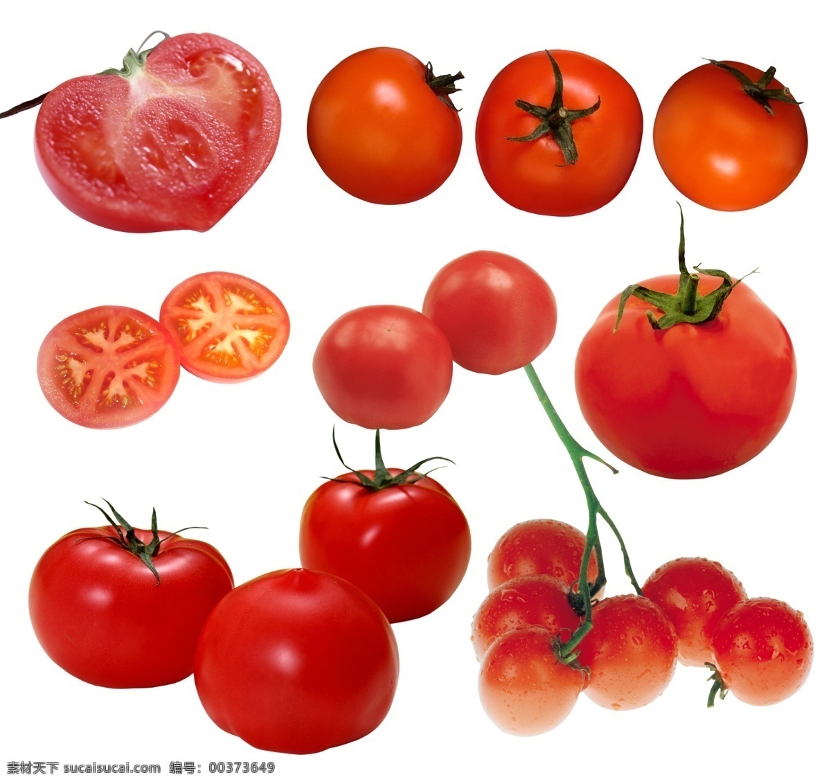 西红柿 手绘 矢量素材 蕃柿 洋柿子 蔬菜 食物 食材 餐饮美食 食物原料 西红柿素材 番茄素材