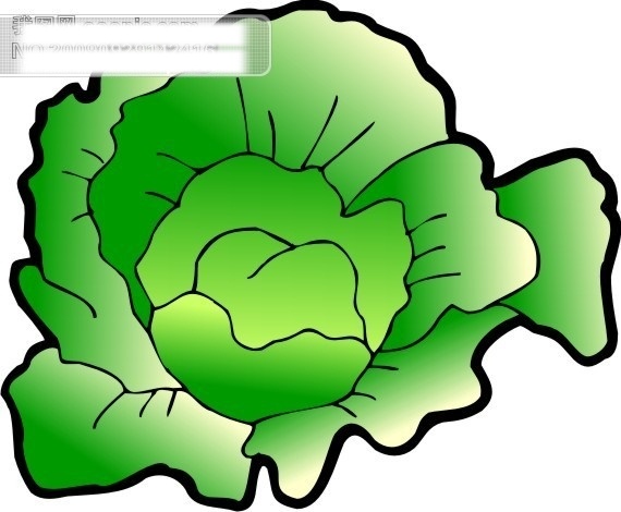 蔬菜 卡通 白菜 图 卡通图 生物 世界 矢量 矢量图 蔬菜矢量图 其他矢量图