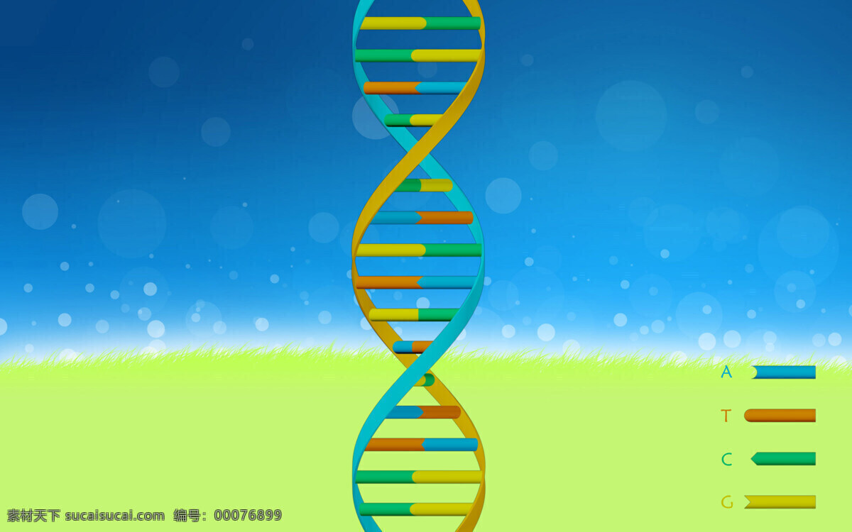 基因 科学 生物 现代科技 医疗护理 医学 矢量图