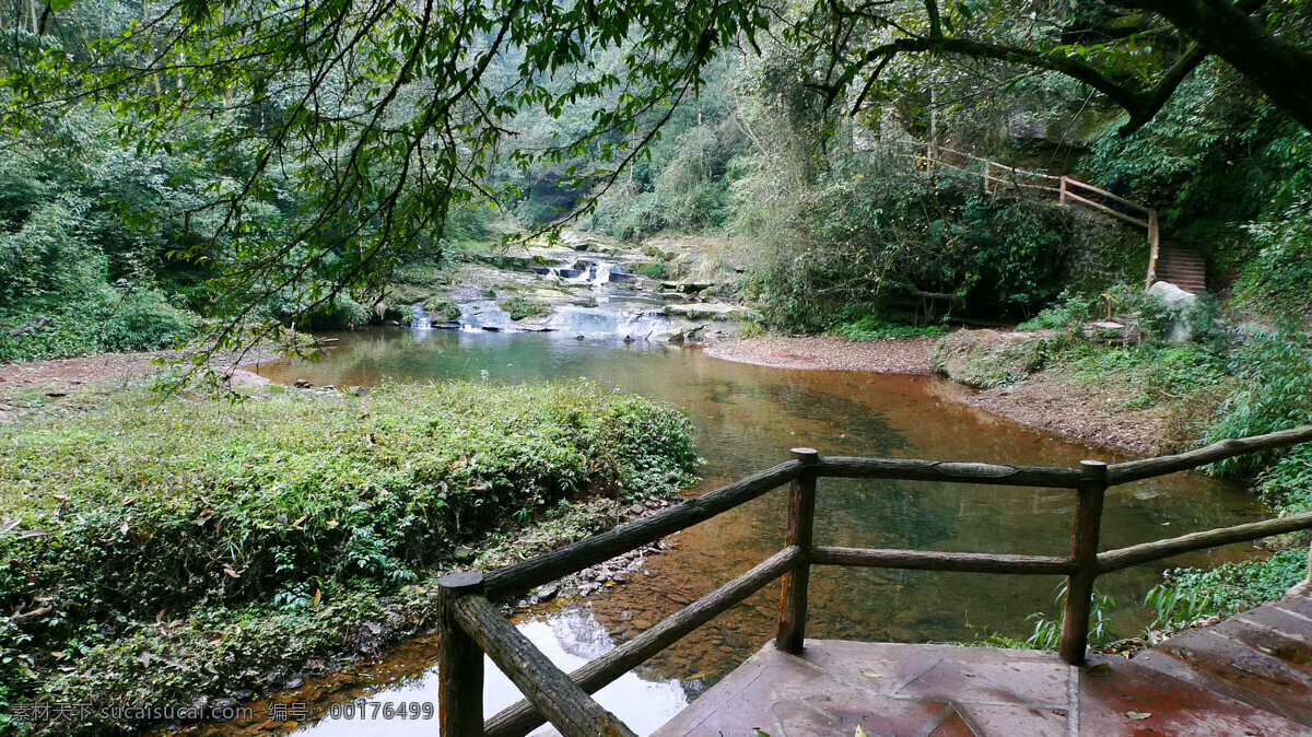 四川 碧峰峡 风景