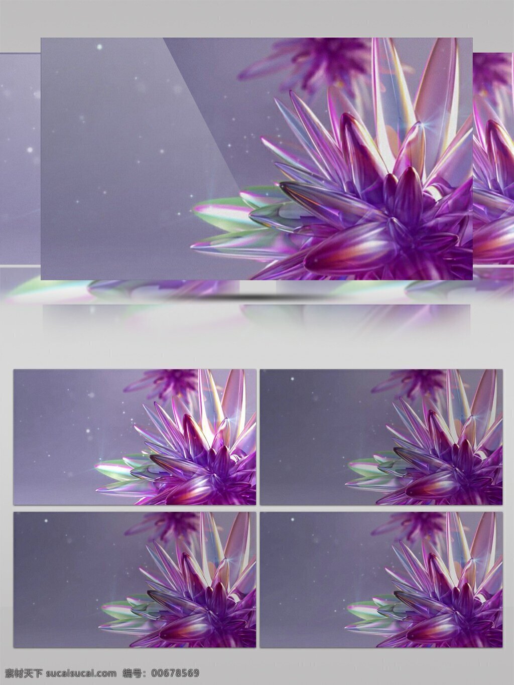 简约 紫色 唯美 鲜花 动感 视频 视频素材 动态视频素材 花朵 美丽 灿烂 高清视频素材 艳丽
