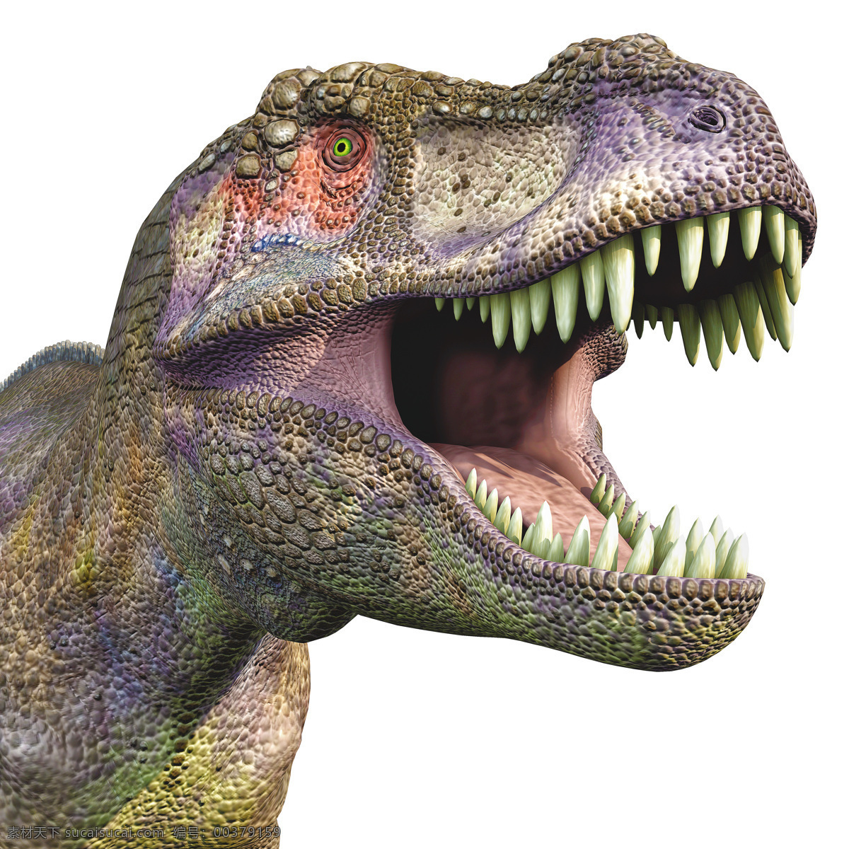 嚎叫的霸王龙 嚎叫 霸王龙 恐龙 3d动画 侏罗纪 侏罗纪公园 陆地动物 生物世界 白色