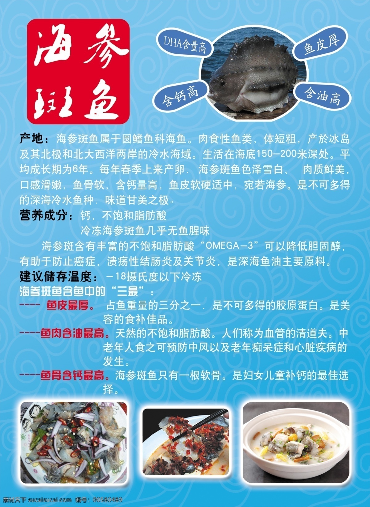 海参斑鱼 展板 海参斑鱼介绍 宣传单页 海报 展板模板 广告设计模板 源文件