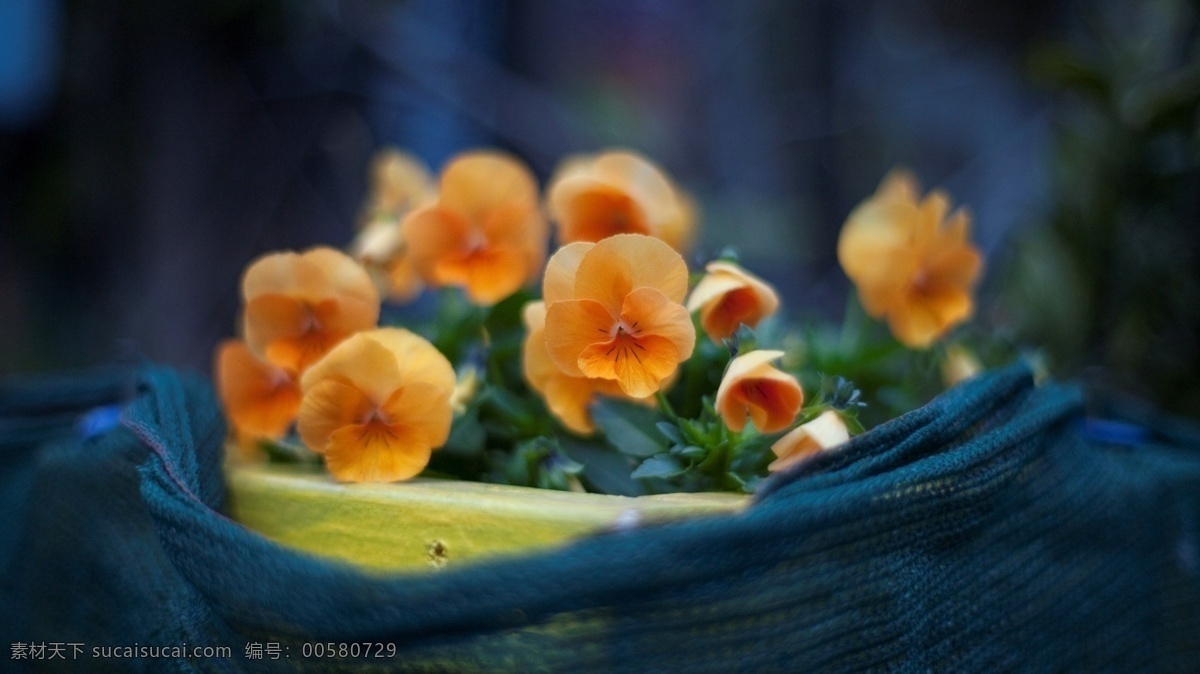 小花 花盘 花底纹 格调 生活