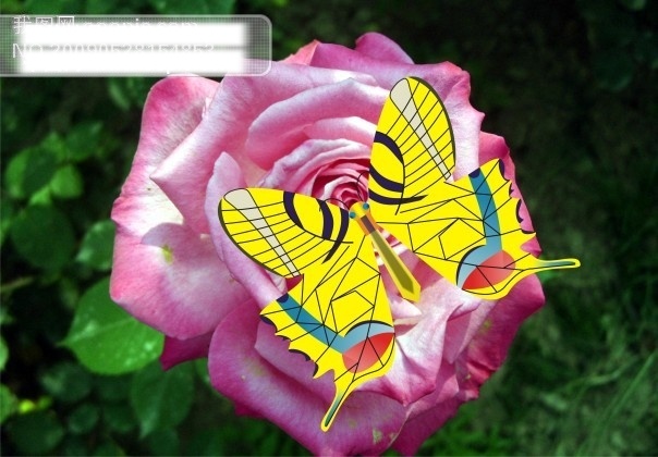 花 蝴蝶 蝴蝶仙子 花蝴蝶 昆虫矢量图 生物 世界 矢量 矢量图 其他矢量图