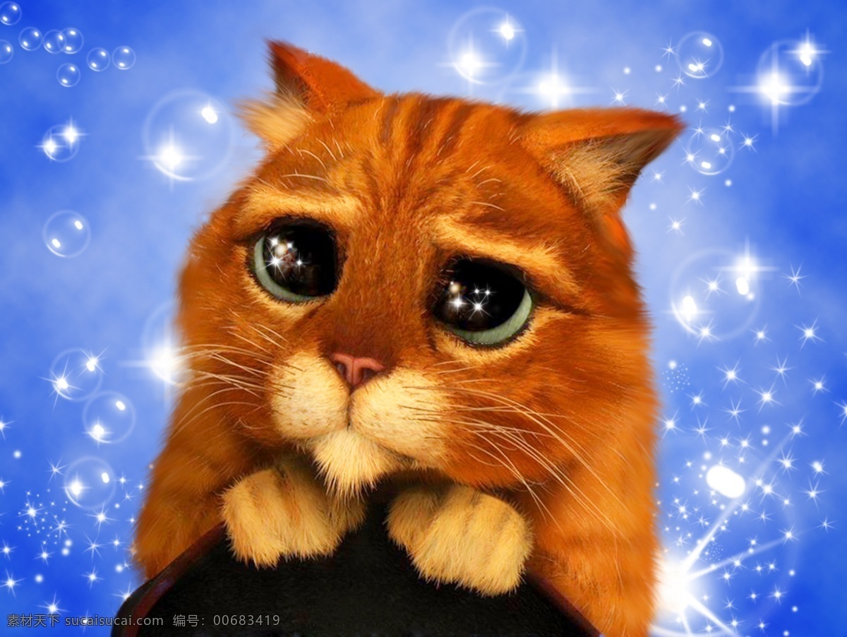 可爱猫 猫 可爱 可爱的小动物 小动物 家畜 大眼猫 星光背景 生物世界 动物世界 黄猫 晶莹泪光 可怜 小可怜 分层 源文件库