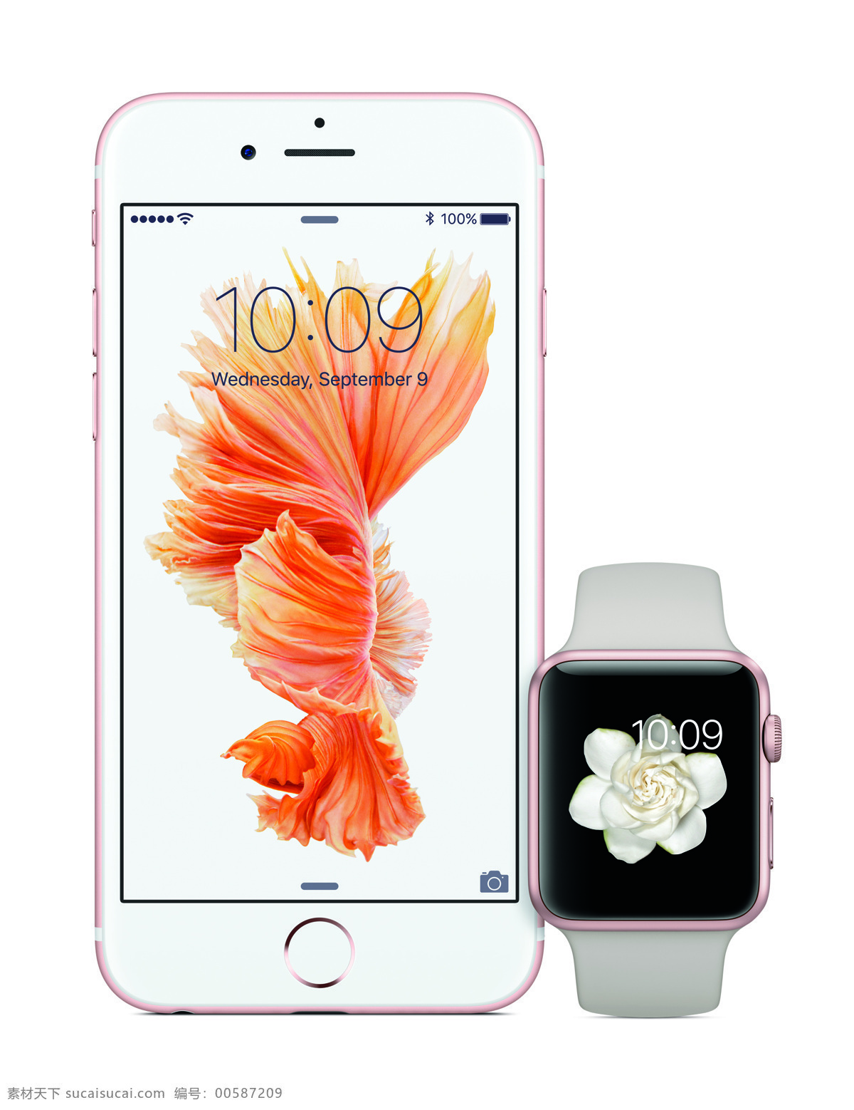 iphone6s watch 苹果手表 苹果6s iphone 6s plus iphone6splus applewatch apple 白色