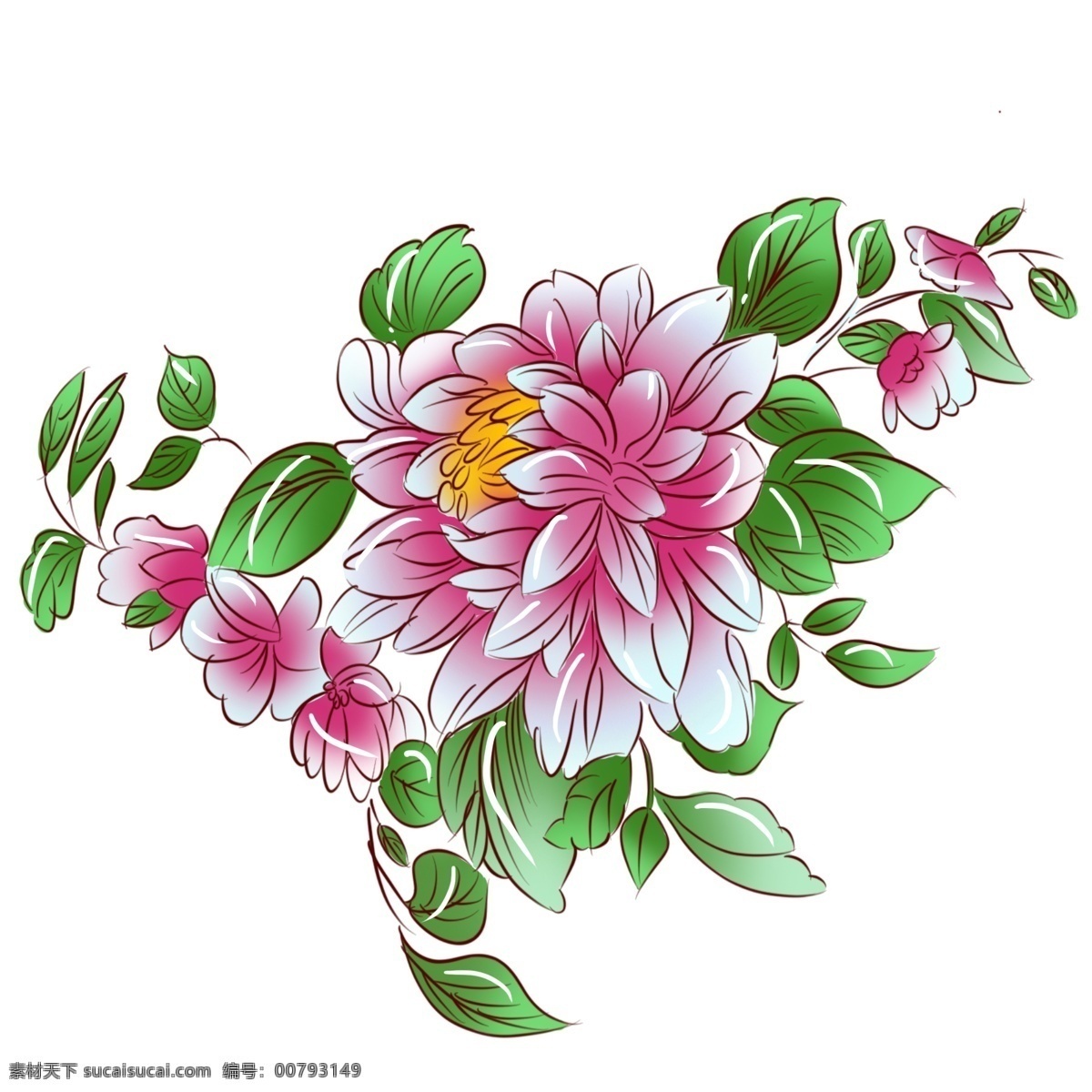 手绘 植物 粉红色 牡丹花 手绘花 手绘植物 手绘牡丹 粉红牡丹
