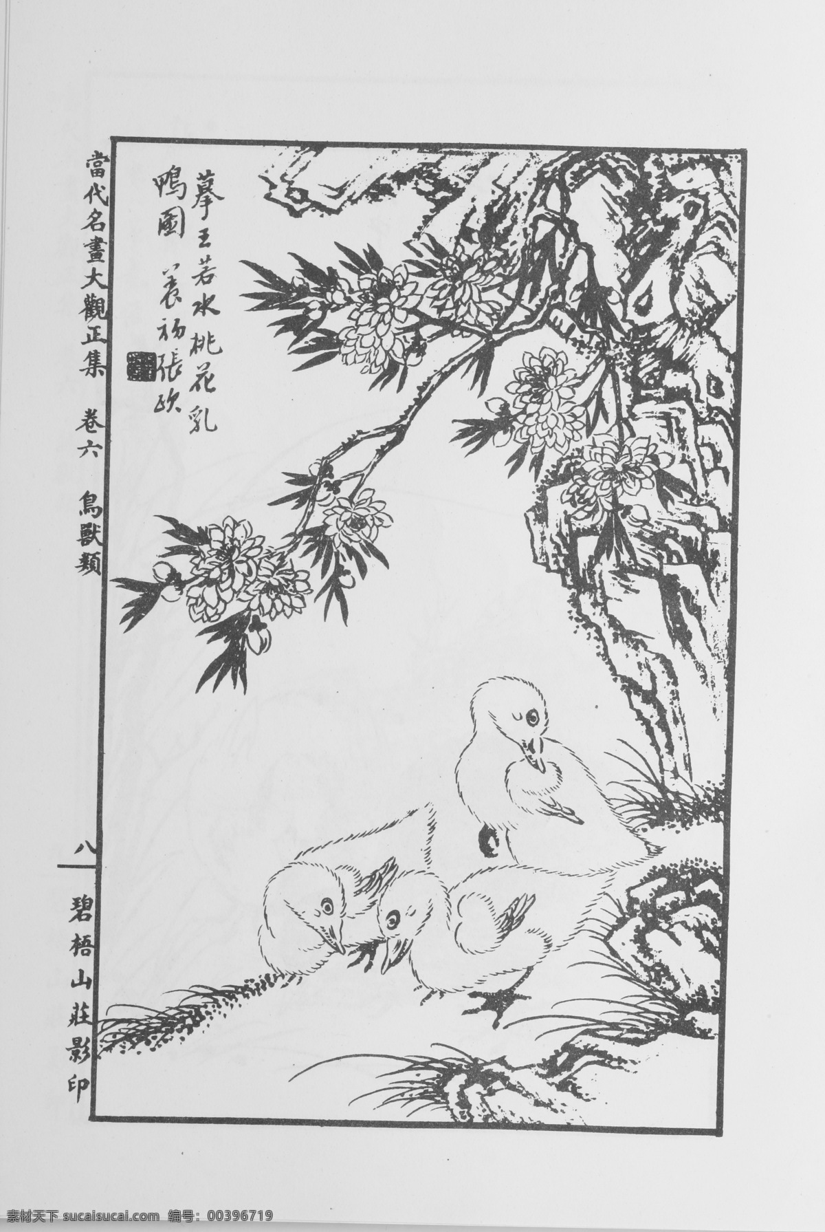 鸟兽画 中国画 当代 名画 大观 正 集 设计素材 花鸟画篇 中国画篇 书画美术 白色